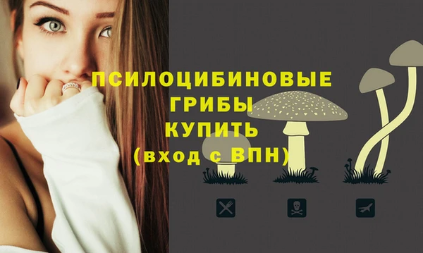 соль ск Новокубанск