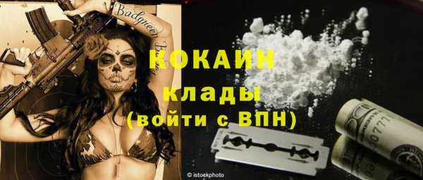apvp Новозыбков